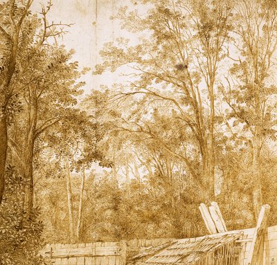 Alberi dietro una staccionata di legno, c. 1638-1642 da Hendrick Cornelisz. Vroom
